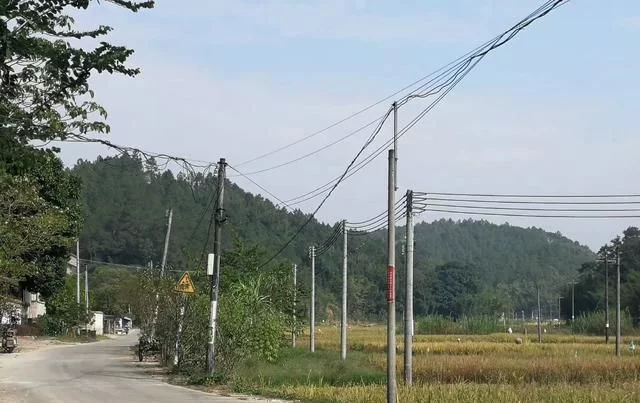 农民抛荒良田的根源在哪里?怎么解决农村的良田种树和抛荒现象?