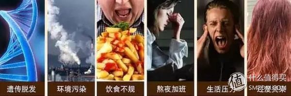 如何拯救油头星人、脱发怪人，这篇文章告诉你!!!