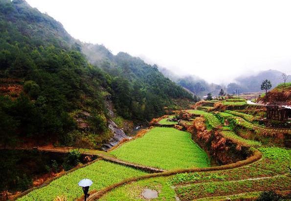 我国最适合养生的村庄：当地人都是高寿少病，堪称现实版世外桃源