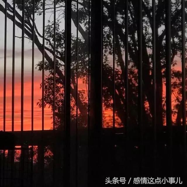 最近有谣言说我喜欢你，我要澄清一下，那不是谣言