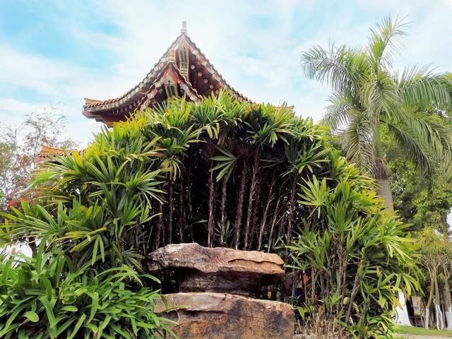  厦门■带你看厦门免费景点（截至6月30日），同安影视城要提前预约吗？