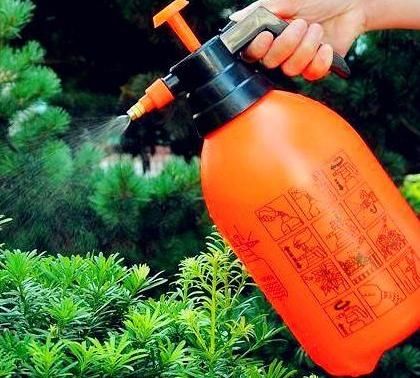  『油绿』养花浇水有讲究，老花匠用3种“套路”，叶片油绿，养1盆爆1盆！