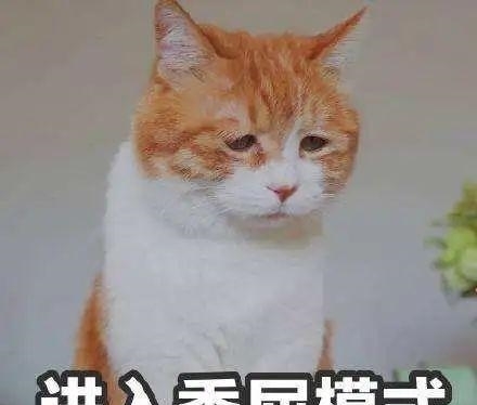 绑架|厦门一母亲被“绑架”?!儿子紧急报警!警方调查,真相令人意外