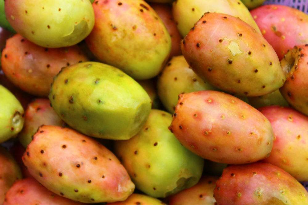 阿姨常用此果当零食吃，每天吃两个，美容养颜