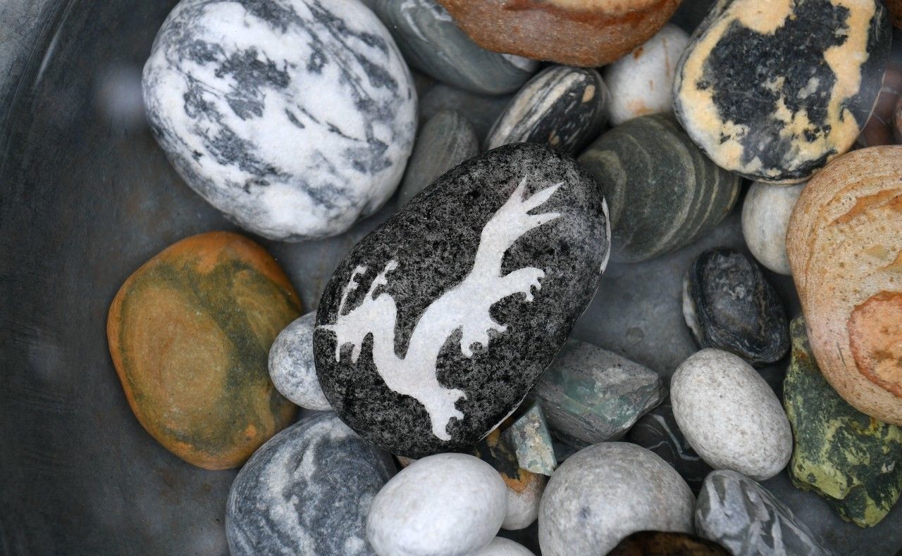 靠山吃山靠水吃水，这里的村民每天捡拾大渡河内的奇石售卖补家用