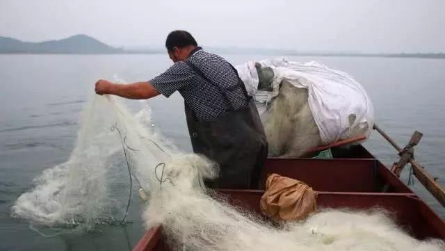「这五种」这五种人是“无知”还是“无耻”?钓鱼人看在眼里,急在心里
