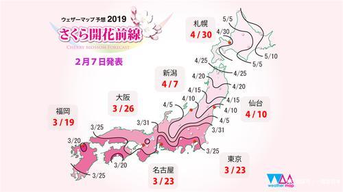 2019年樱花前线来袭!快来看最新樱花季预测!