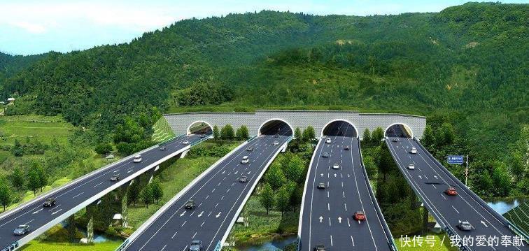  「高速」为什么不在高速服务区睡觉 不是不想睡, 超时要收费