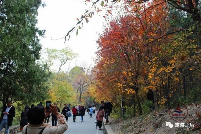 北京香山公园除了秋色，还有风景如画的湖泊，园林式的寺庙