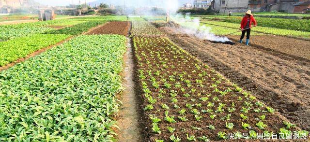 未来农村不值钱的是农村户口，最值钱的是这2种