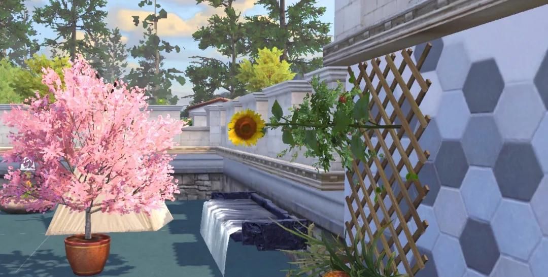  『幸存者们』明日之后：室内植物“长寿”，原来要靠这几步！