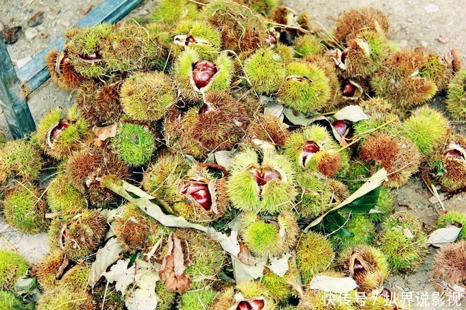 国庆小长假，天津蓟州吃、住、玩首选郭家沟，一起看看秋季美景！