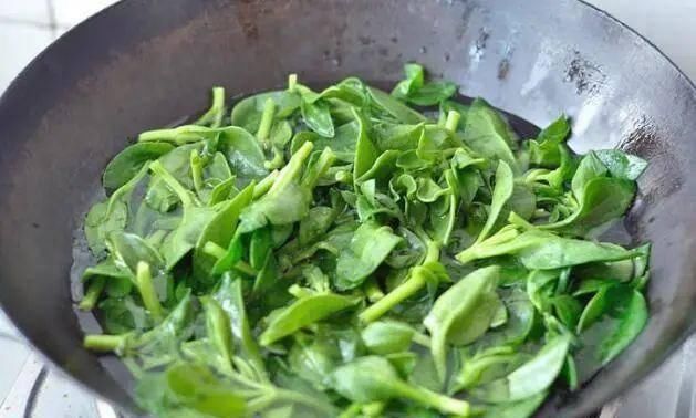  清洗干净■这4种花不仅长得漂亮，掐下叶子就是一盘菜