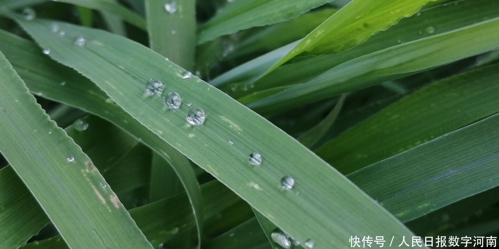  #时间表#河南各地入秋时间表来啦！看看你那儿离秋天有多远？