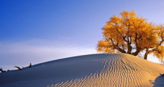  「中东国家」海水取之不尽，用来灌溉沙漠会怎样？看看中东国家