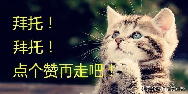 法定退休年龄是多少 2019延迟退休年龄最新消息