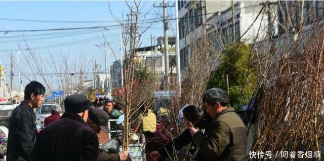 以后农村的“高利润”项目，现在干的人不多，早下手早致富！