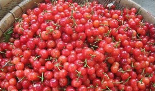  【方言】重庆方言对美食的别称，外地人不懂了吧！你也这样叫吗