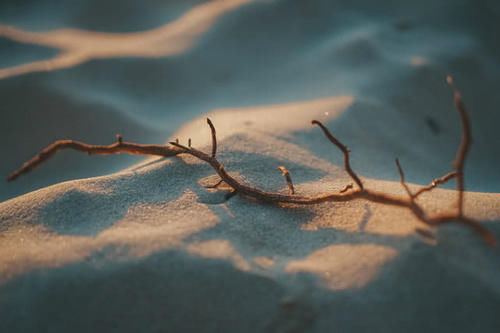  「gdp」江苏“最迅猛”的城市，与苏州、常州并齐名，GDP总量比