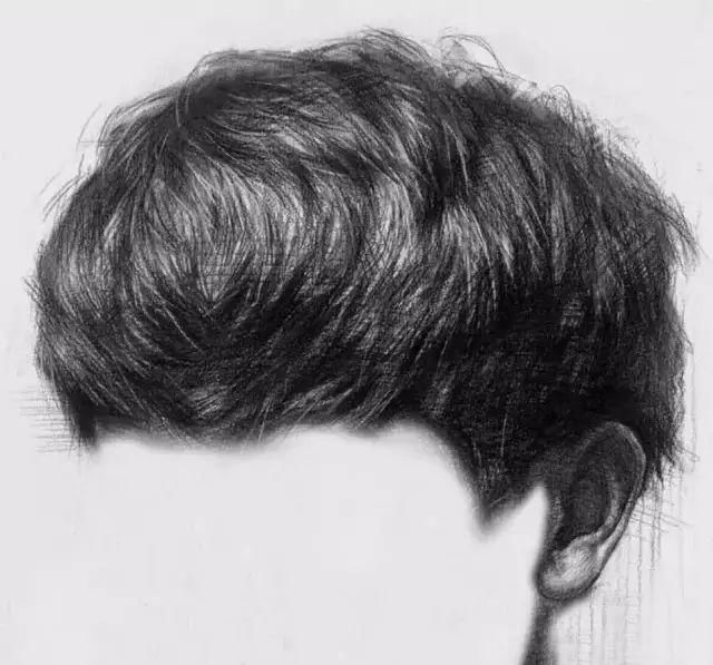 素描头像中头发的处理技巧