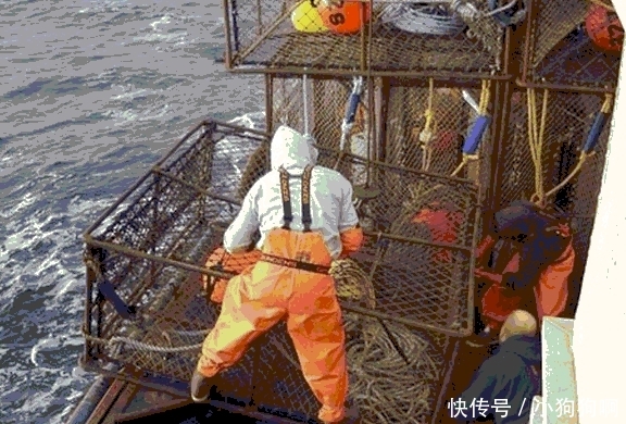 阿拉斯加捕蟹人生命随时被剥夺, 累了就躺在成堆的螃蟹中休息