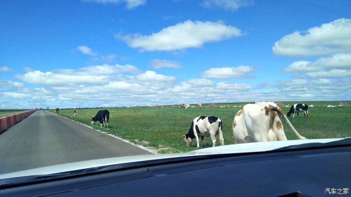 自驾RAV4荣放，蓝天白云——望无际的大草原