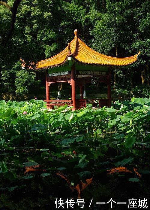 武汉湖畔系大学备忘录（一）：那些关于湖的小欢喜