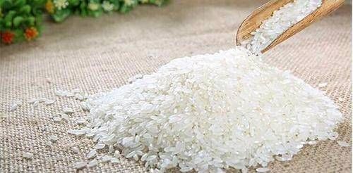#米饭#你的米饭里有虫子吗?让我来告诉你怎样预防米虫