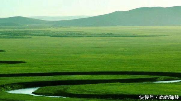 为什么广袤的大草原上长满青草,就是没有看到有几棵树呢?