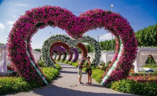 迪拜再创世界之最！4500万朵鲜花打造世界最大花园，网友：美呆了