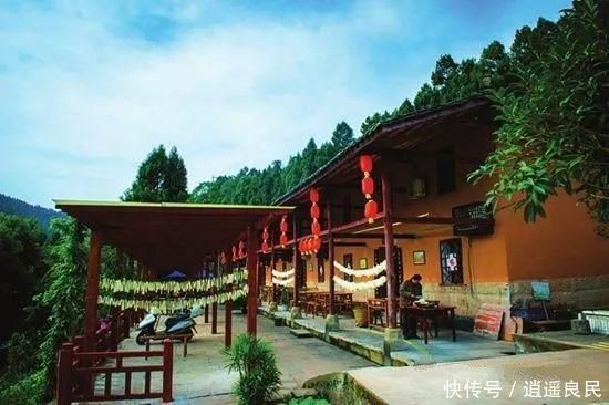 农业的悲哀:有太多的“专家”不考虑农民致富,却对农民指手画脚