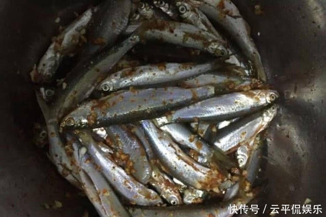 不折不扣:垂钓长江边,不折不扣的当了回“白条杀手”