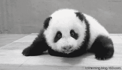 体毛多|又到脱毛季!体毛可不可以长到头顶上去?