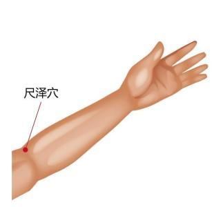 夏季身上奇痒、透亮的水疱原是螨虫过敏,分分