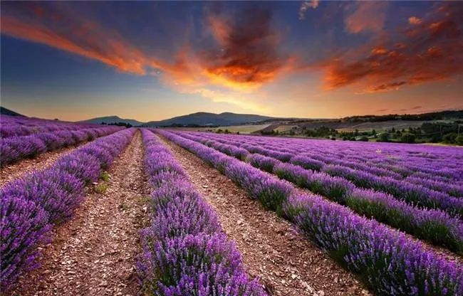 不用再去国外，去了新疆就等于去了全世界，不信你看！