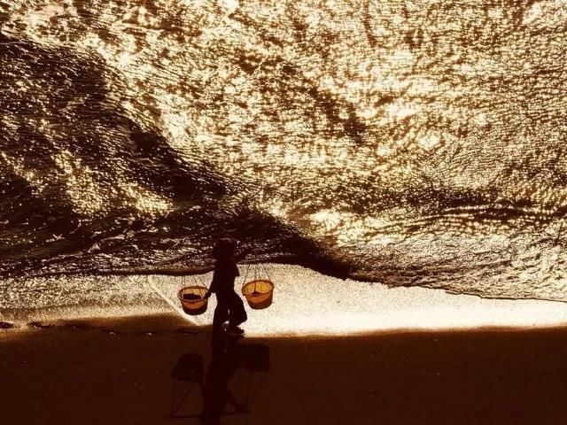 霞浦海域惊现中华白海豚，央视新闻联播都报导了