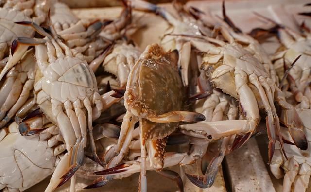 自驾走过广西广东海南，来到福建霞浦三沙，带你看看渔村海鲜价格