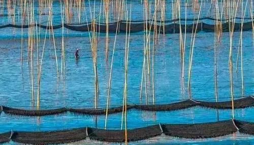  「浙江」浙江45座如画小村镇, 竟私藏江南90%美景, 你去过几个?