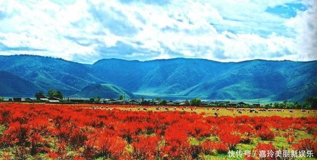 云南最聪明的县级市,经济不好马上改名,现在的名气比省会还高