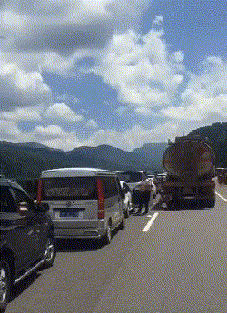  GIF：爆笑GIF：老婆总是这样梳头
