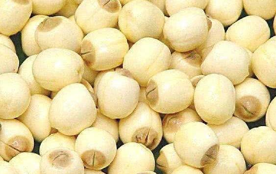 它们是慢性胃炎的“救星”，修复胃黏膜，远离幽门螺旋杆菌