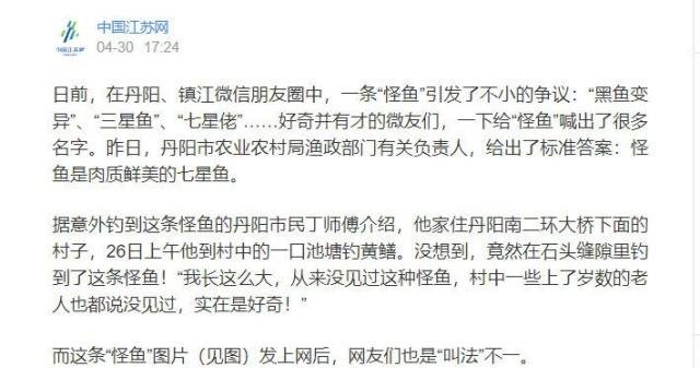 江苏河道出现这种斑点鱼，引发网友关注，有人担忧其泛滥