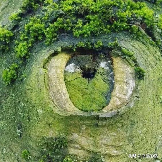 全球难得—见的照片,拿出来大家欣赏