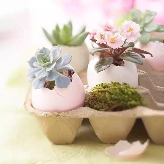  『茶叶罐』茶叶罐、奶粉罐都别扔，还买什么花盆？她没花一分钱，让人羡慕