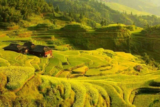 金秋贵州 这些田间地头要美哭了!