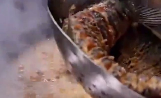  『食材』你觉得《放心》中的三种烧烤食材怎么样