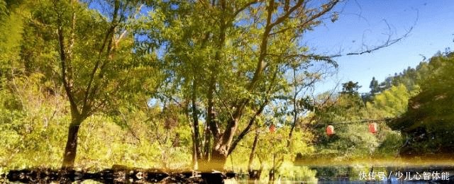 这个地方蚊子活不下去,全国唯一没有蚊子的村庄,纯绿色旅游