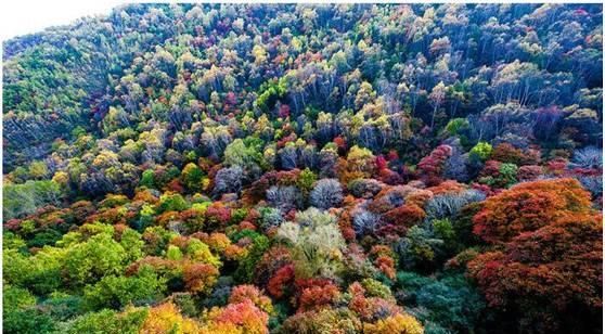 秋日里，山西20处绝美赏秋胜地美的像仙境