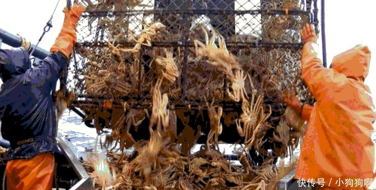 阿拉斯加捕蟹人生命随时被剥夺, 累了就躺在成堆的螃蟹中休息