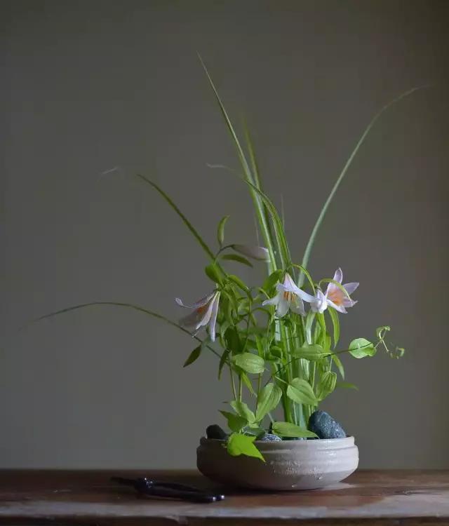  『阵子』42例插花欣赏！一辈子，总要插一次花！